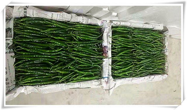 J9旗舰厅(中国区)官方网站