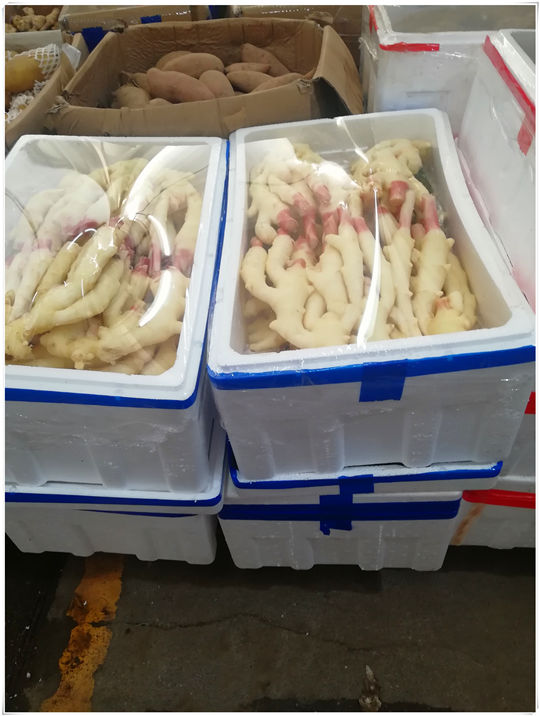 J9旗舰厅(中国区)官方网站