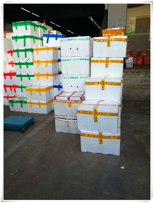 J9旗舰厅(中国区)官方网站