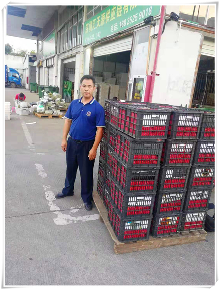 J9旗舰厅(中国区)官方网站