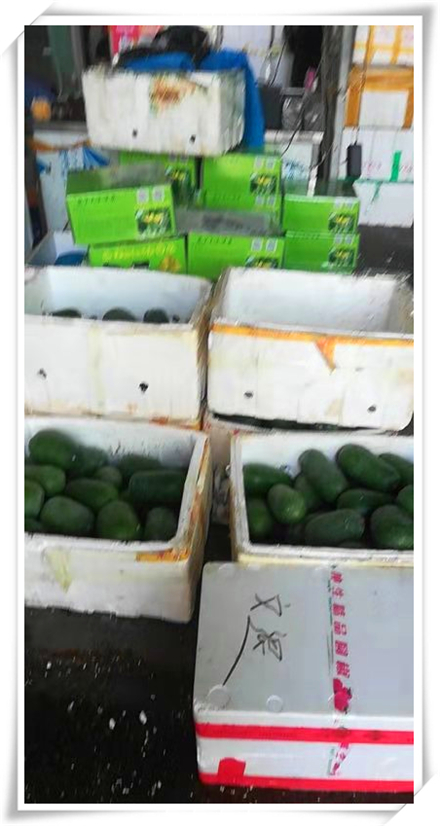 J9旗舰厅(中国区)官方网站