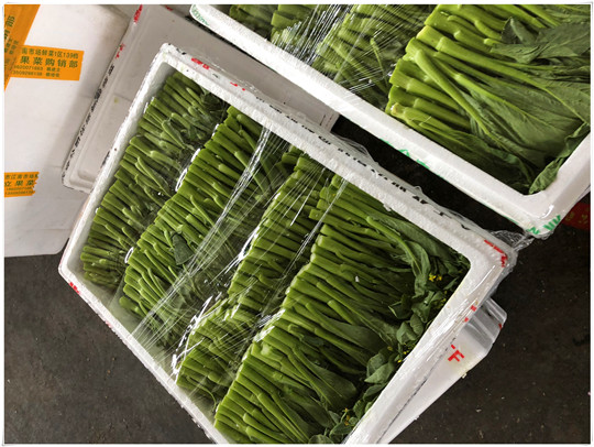 J9旗舰厅(中国区)官方网站