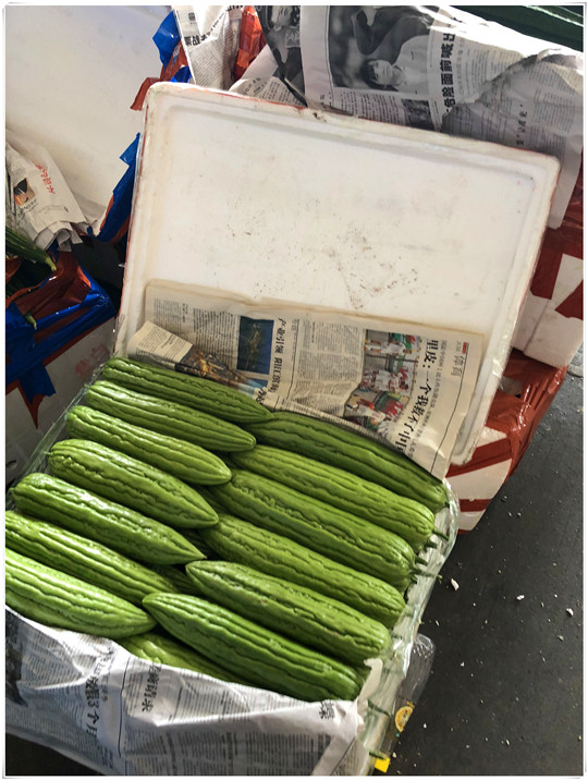 J9旗舰厅(中国区)官方网站