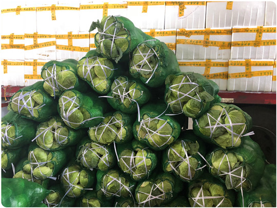 J9旗舰厅(中国区)官方网站