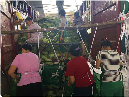 J9旗舰厅(中国区)官方网站