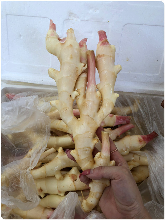 J9旗舰厅(中国区)官方网站