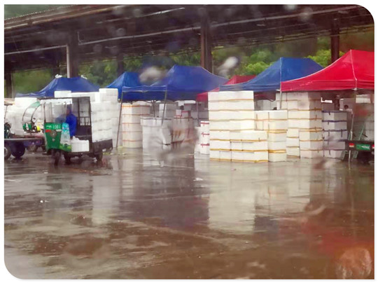 J9旗舰厅(中国区)官方网站