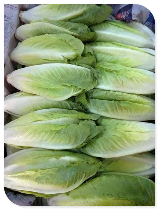 J9旗舰厅(中国区)官方网站