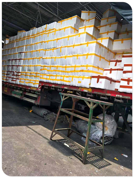 J9旗舰厅(中国区)官方网站