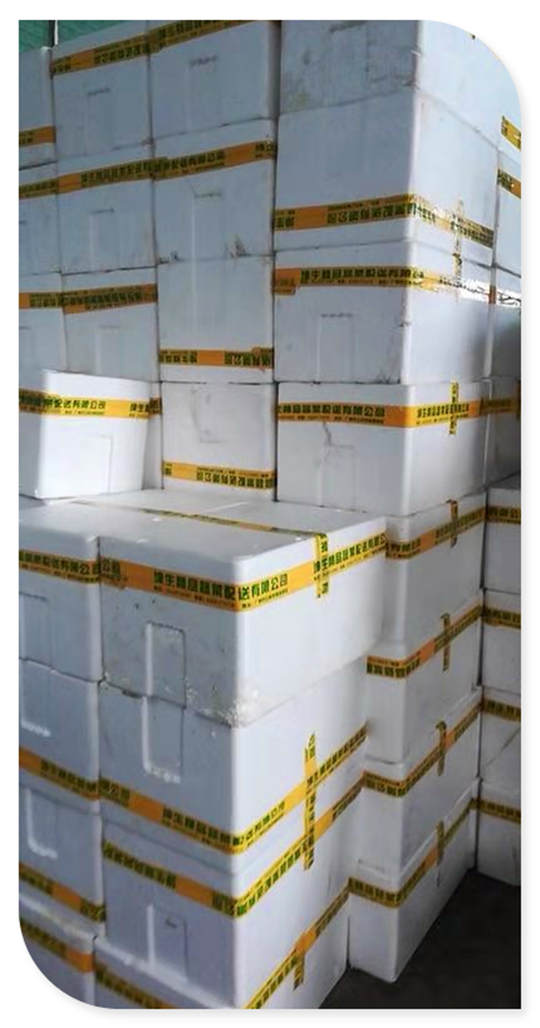 J9旗舰厅(中国区)官方网站