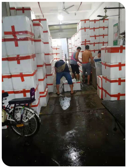 J9旗舰厅(中国区)官方网站