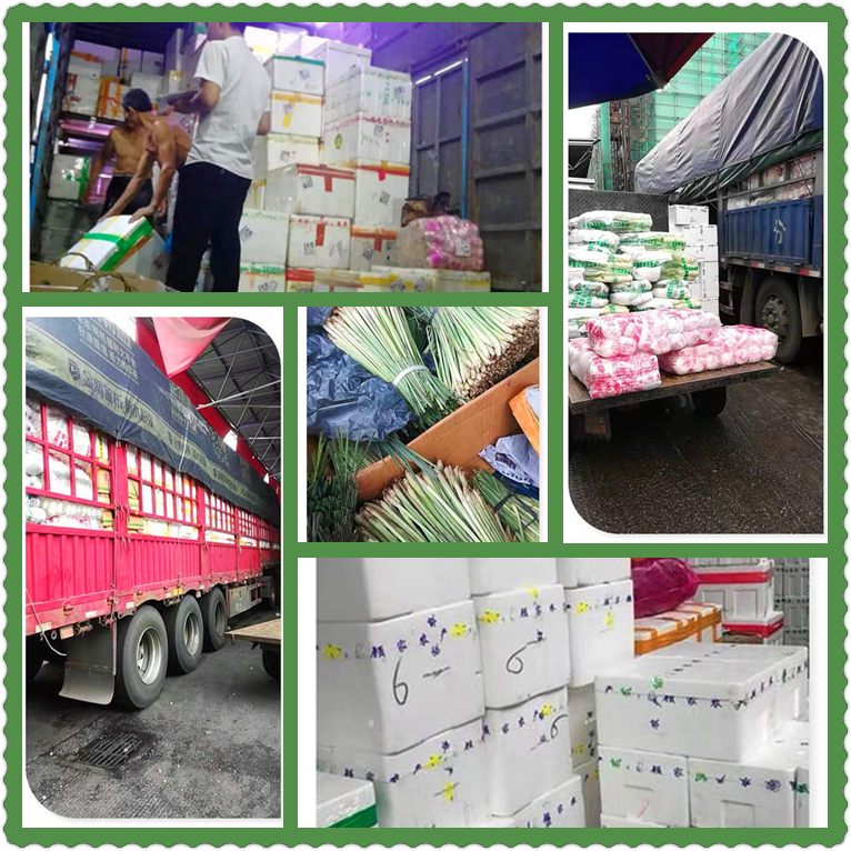 J9旗舰厅(中国区)官方网站