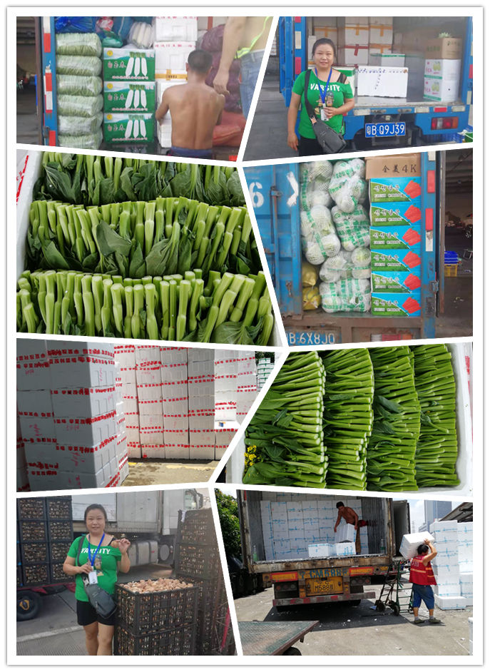 J9旗舰厅(中国区)官方网站