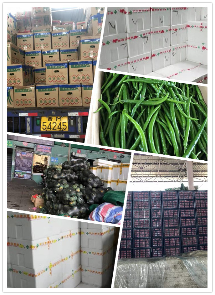 J9旗舰厅(中国区)官方网站