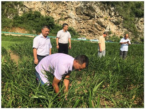 J9旗舰厅(中国区)官方网站