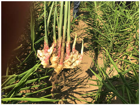 J9旗舰厅(中国区)官方网站