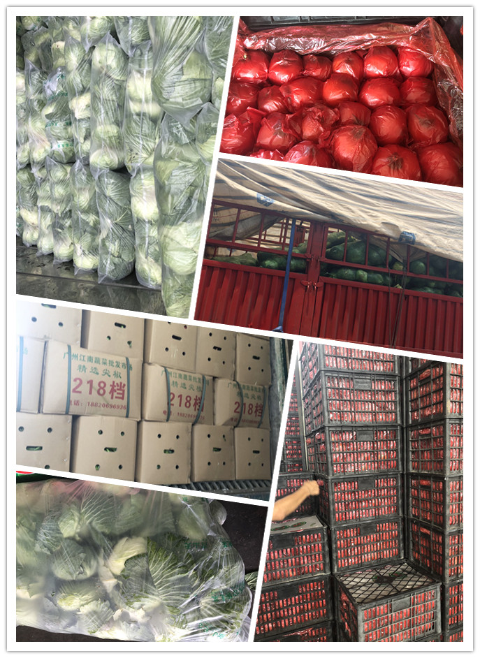 J9旗舰厅(中国区)官方网站