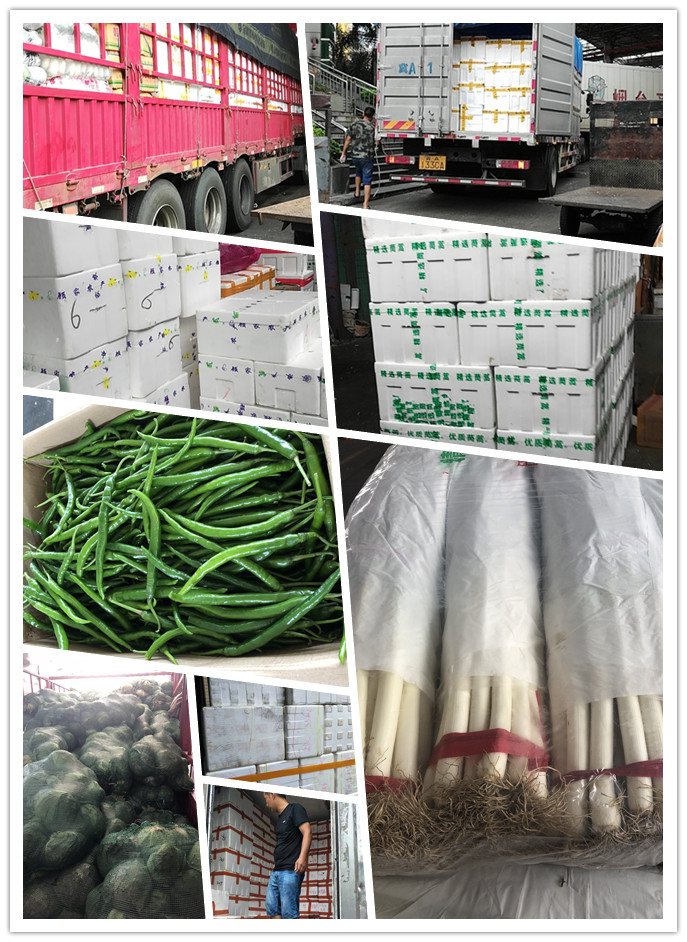 J9旗舰厅(中国区)官方网站