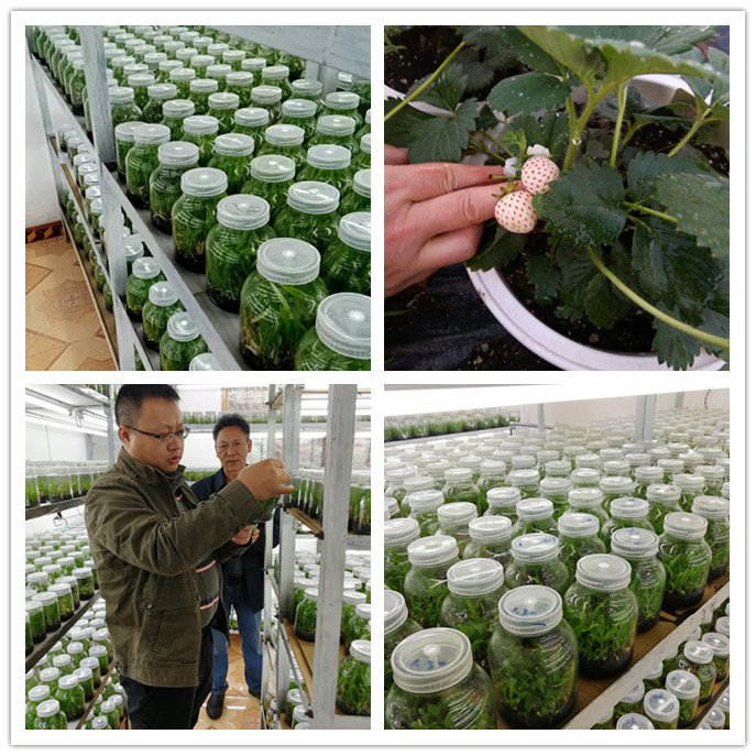 J9旗舰厅(中国区)官方网站