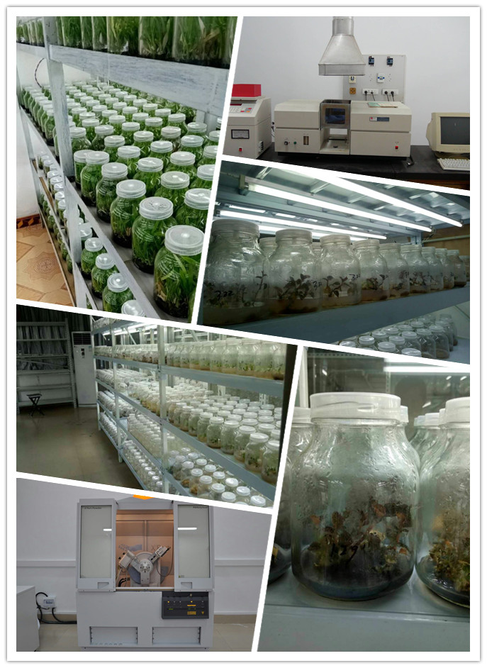 J9旗舰厅(中国区)官方网站