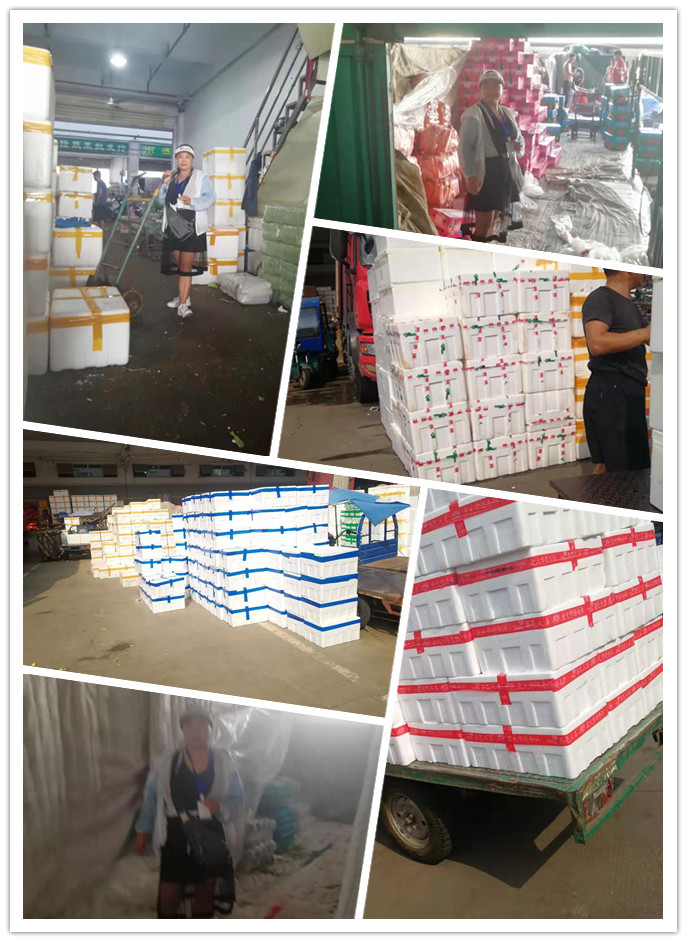 J9旗舰厅(中国区)官方网站