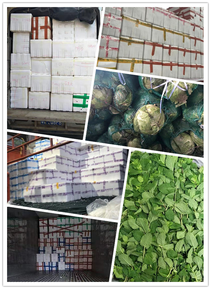 J9旗舰厅(中国区)官方网站