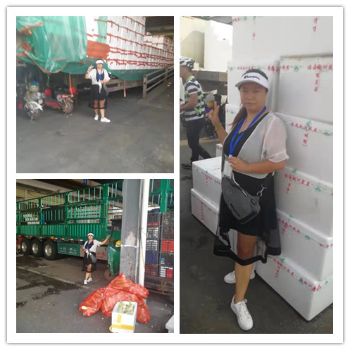 J9旗舰厅(中国区)官方网站