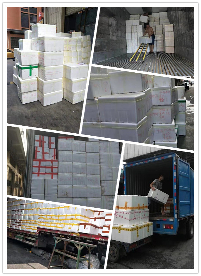 J9旗舰厅(中国区)官方网站