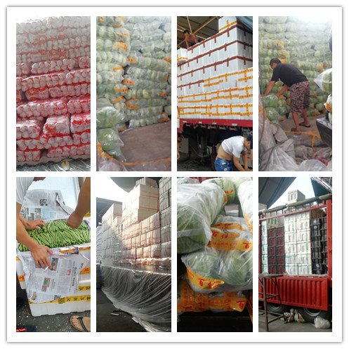 J9旗舰厅(中国区)官方网站