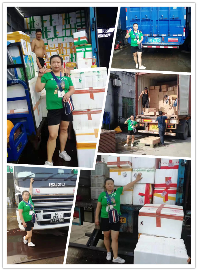 J9旗舰厅(中国区)官方网站