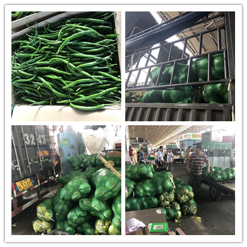 J9旗舰厅(中国区)官方网站