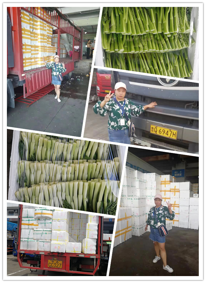 J9旗舰厅(中国区)官方网站