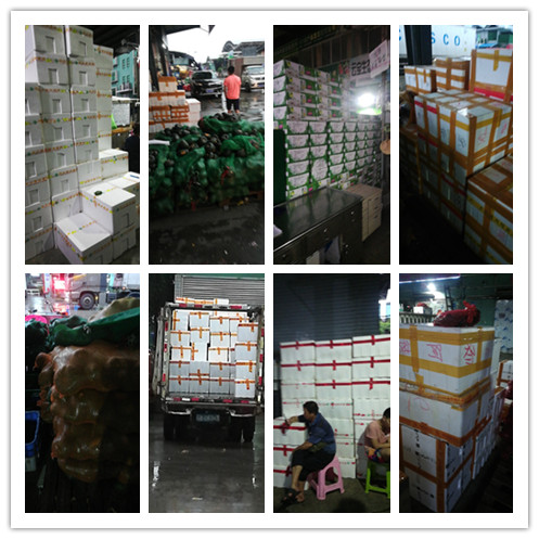 J9旗舰厅(中国区)官方网站