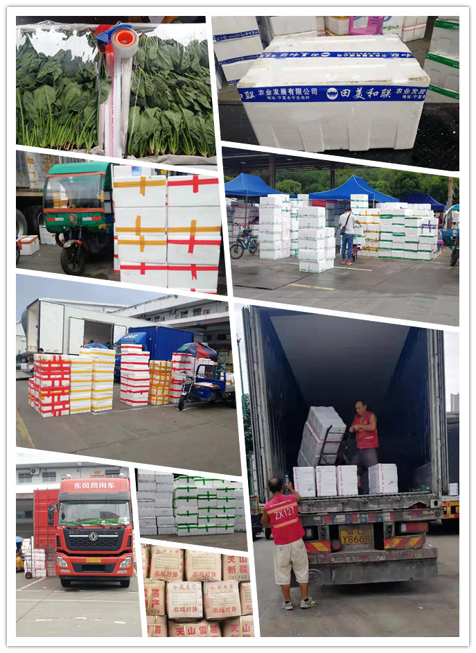 J9旗舰厅(中国区)官方网站