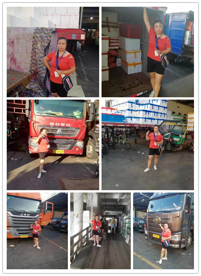 J9旗舰厅(中国区)官方网站