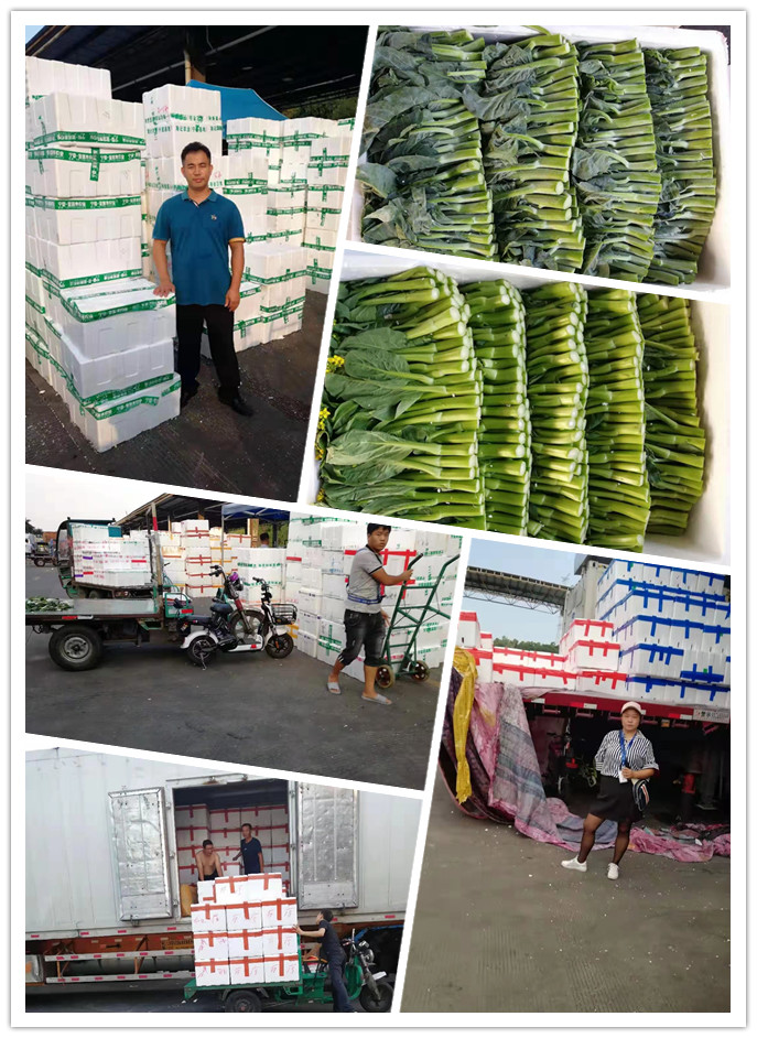 J9旗舰厅(中国区)官方网站