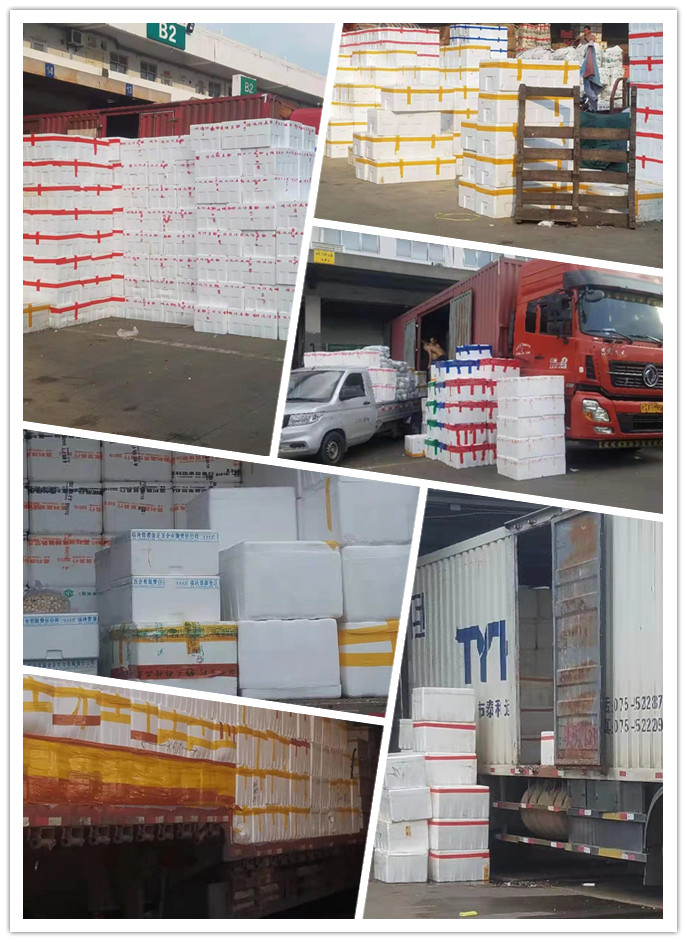 J9旗舰厅(中国区)官方网站