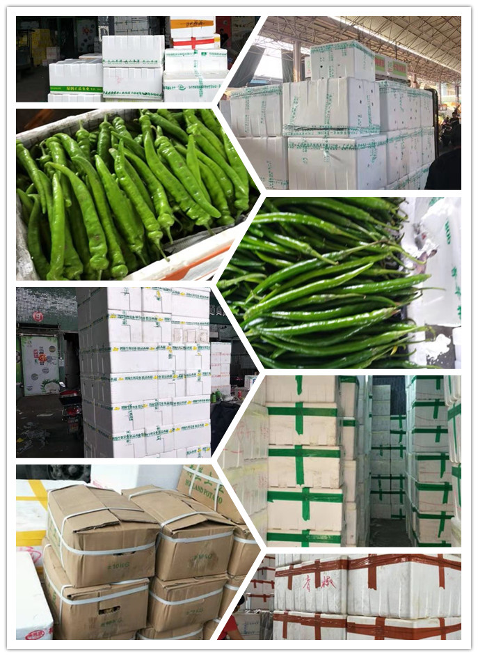 J9旗舰厅(中国区)官方网站