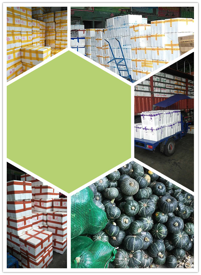 J9旗舰厅(中国区)官方网站