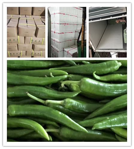 J9旗舰厅(中国区)官方网站