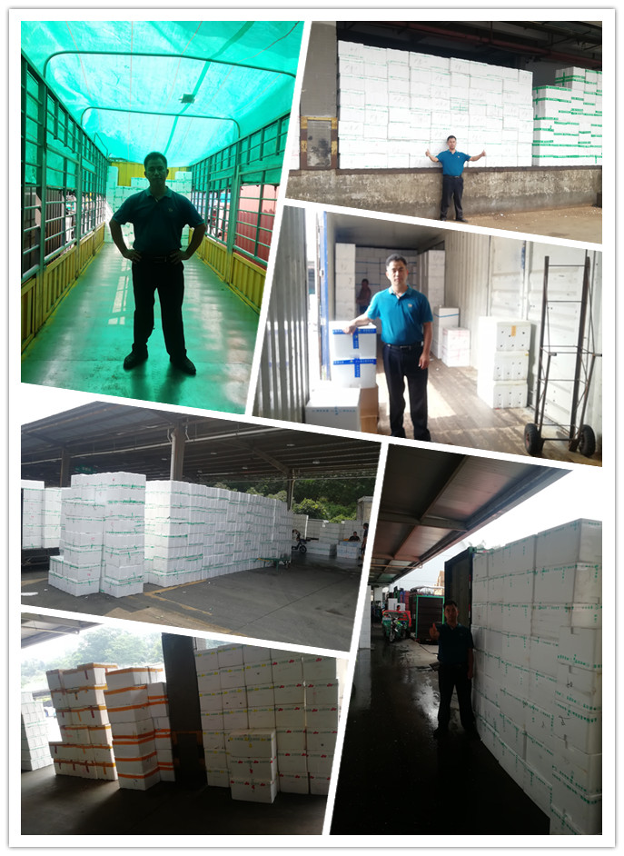 J9旗舰厅(中国区)官方网站