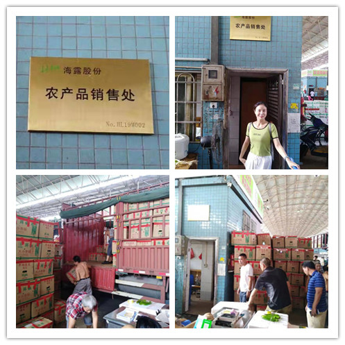 J9旗舰厅(中国区)官方网站