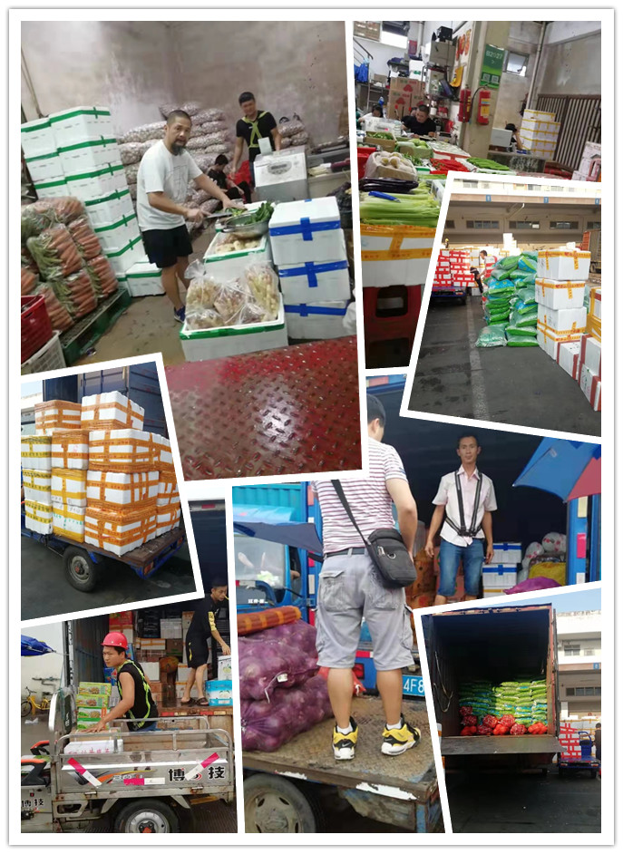 J9旗舰厅(中国区)官方网站