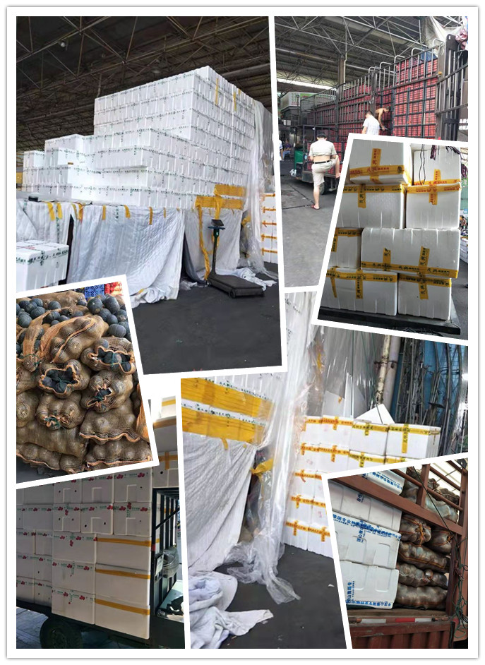 J9旗舰厅(中国区)官方网站