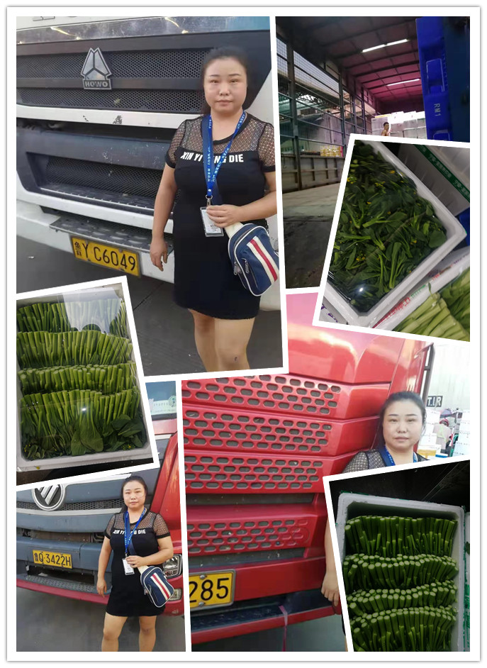 J9旗舰厅(中国区)官方网站