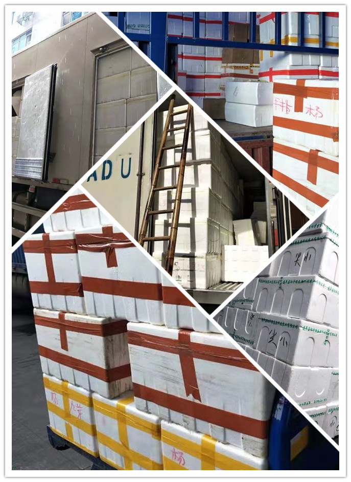 J9旗舰厅(中国区)官方网站