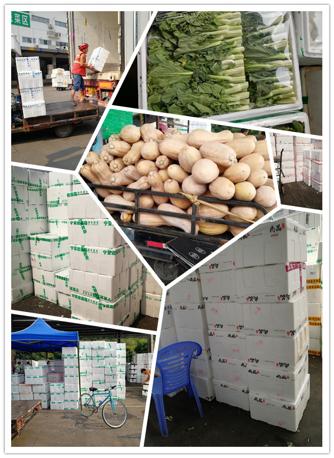 J9旗舰厅(中国区)官方网站