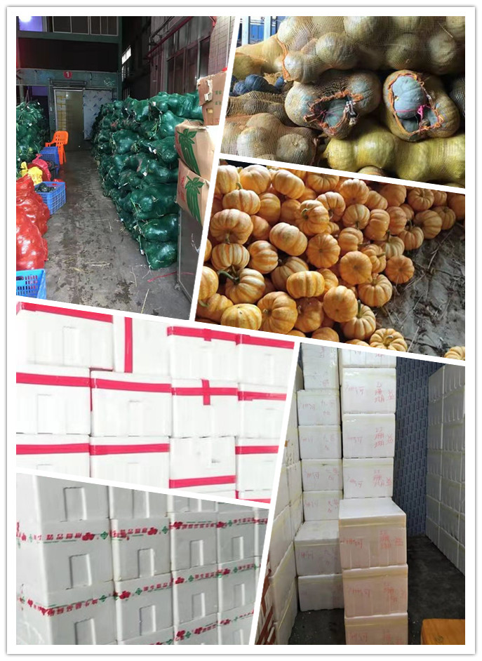 J9旗舰厅(中国区)官方网站