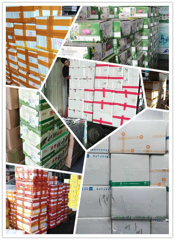 J9旗舰厅(中国区)官方网站