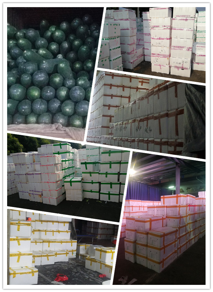 J9旗舰厅(中国区)官方网站